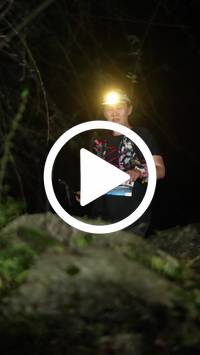 BIB:  <button type="button" onclick="openModal(27921406)" class="btn btn-primary btn-sm float-right" data-toggle="modal" data-target=".modal-high-quality">
                <i class="fa fa-download"></i> Download
                </button>